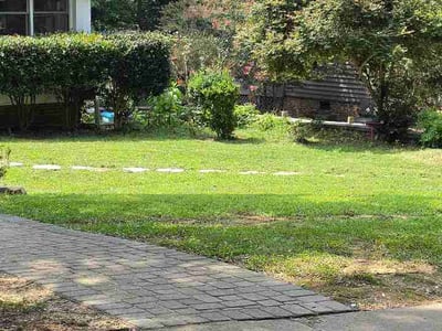 Lawn Care service in Matthews, 28105