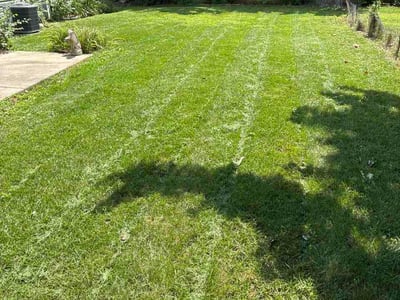 Lawn Care service in Geneva, 60134