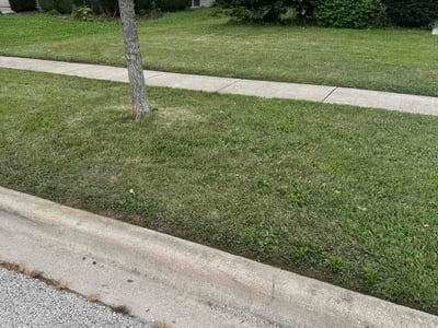 Lawn Care service in Geneva, 60134