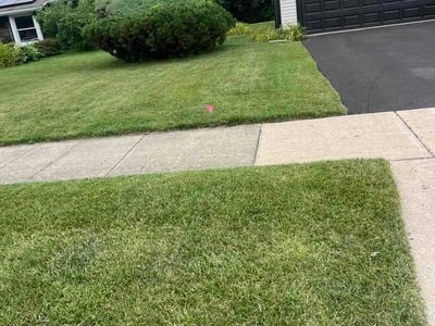 Lawn Care service in Palatine, 60074