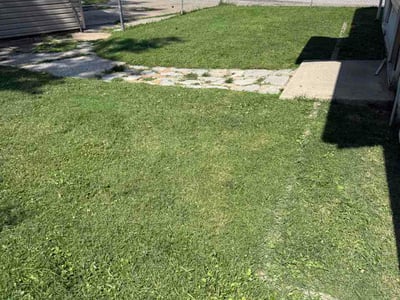 Lawn Care service in Granite City, 65401