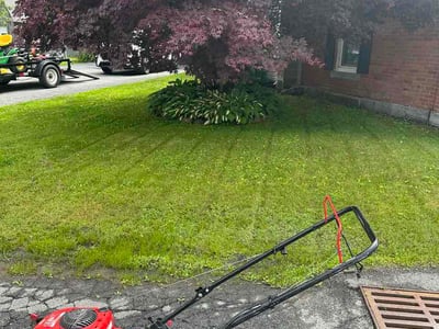 Lawn Care service in Ballston Spa, 12020