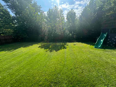 Lawn Care service in Fairborn, 45324