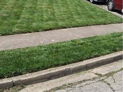 Lawn Care service in Troy, 45373