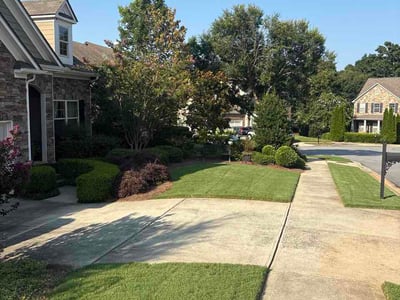 Lawn Care service in Hempstead, 11550