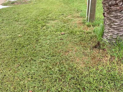 Lawn Care service in DeBary, 32713