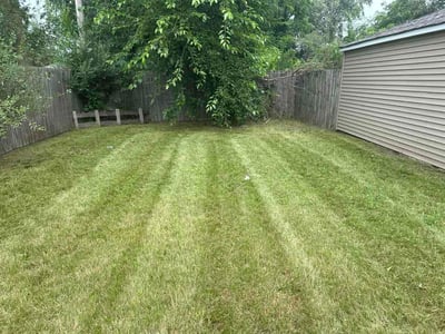 Lawn Care service in Cheektowanga, 14225