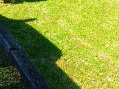 Lawn Care service in North Brunswick, 08902