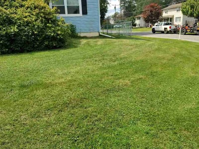Lawn Care service in Cicero, 13039