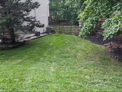 Lawn Care service in Medford, 08055
