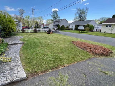 Lawn Care service in Delmar, 12054