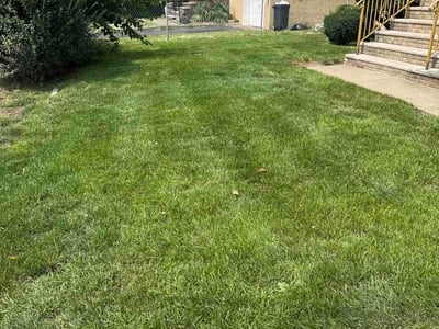 Lawn Care service in Bergen County, 07652