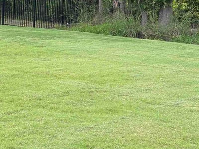 Lawn Care service in Fort Mill, 29715