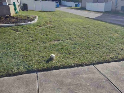 Lawn Care service in Summerlin, 89134