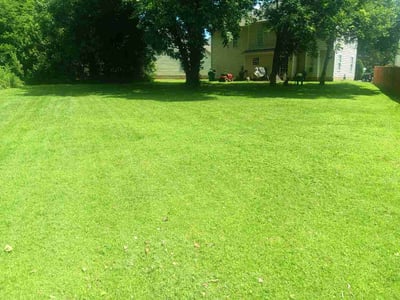 Lawn Care service in Fort Mill, 29715