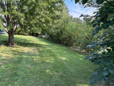 Lawn Care service in Springfield, 65806