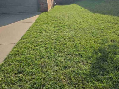 Lawn Care service in Sudbury, 01776