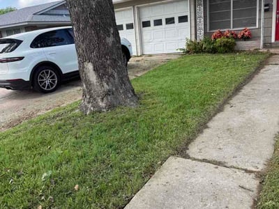 Lawn Care service in Sudbury, 01776