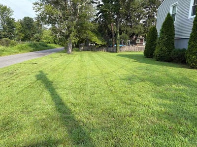 Lawn Care service in Berlin, 08009