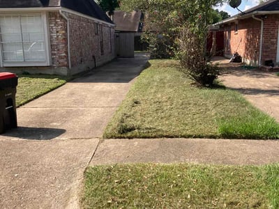 Lawn Care service in Sudbury, 01776