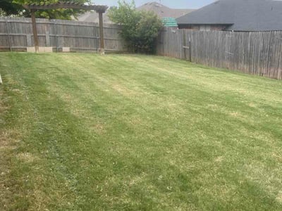 Lawn Care service in Lynn, 01902
