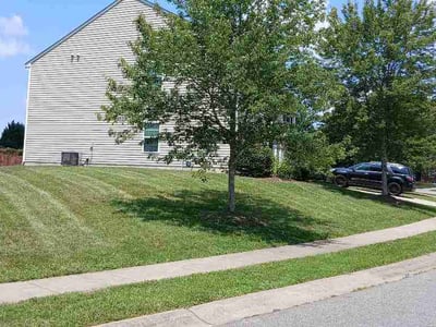 Lawn Care service in China Grove, 28023