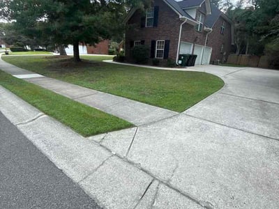 Lawn Care service in North Charleston, 29406
