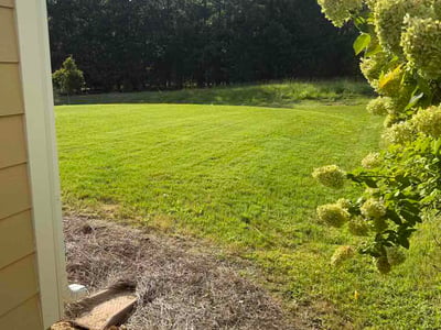 Lawn Care service in Camden, 29020