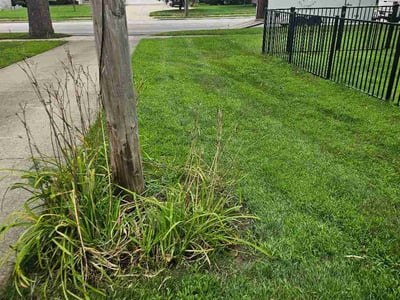 Lawn Care service in Ada, 49301