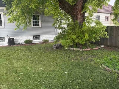Lawn Care service in South Holland, 60473