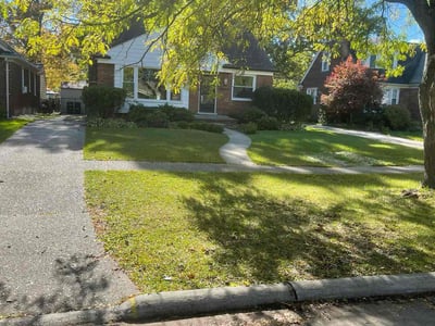 Lawn Care service in Harper Woods, 48225