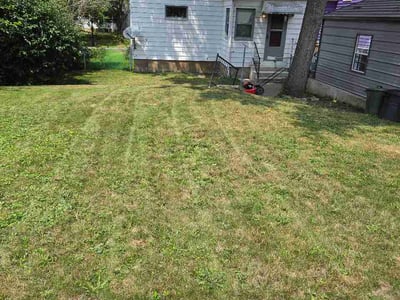 Lawn Care service in Montgomery, 60538