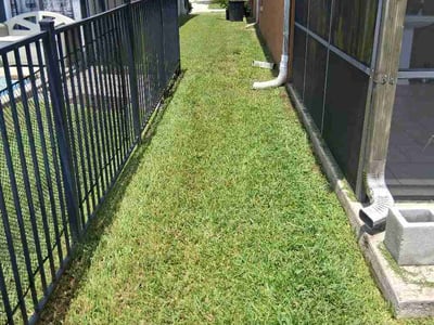Lawn Care service in Port Orange, 32127