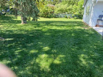 Lawn Care service in Richfield, 55423