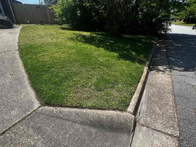 Lawn Care service in Westfield, 07090