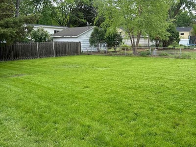 Lawn Care service in Richfield, 55423