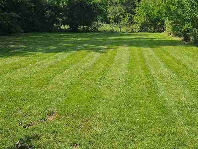 Lawn Care service in Chicago Heights, 60411