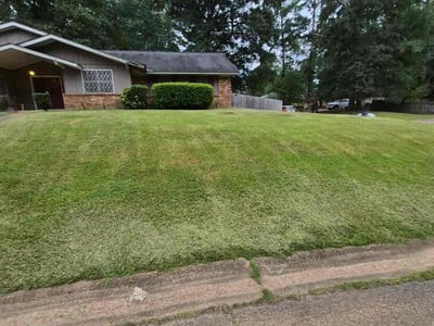 Lawn Care service in Jackson, 39201
