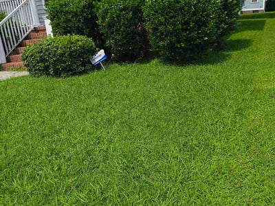 Lawn Care service in East Brunswick, 08816
