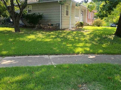 Lawn Care service in East Brunswick, 08816