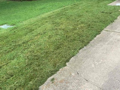 Lawn Care service in Marlborough, 01752