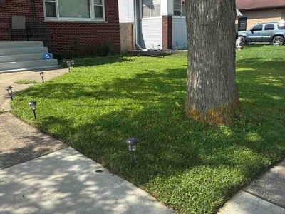 Lawn Care service in Lansing, 60438