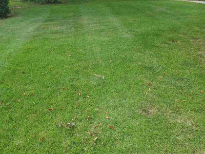 Lawn Care service in Evergreen Park, 60805