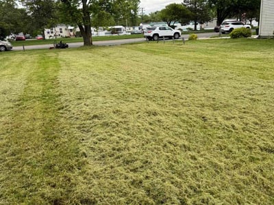 Lawn Care service in Pinckney, 48169