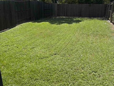 Lawn Care service in Smithville, 78957