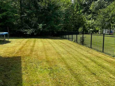 Lawn Care service in Clover, 29710