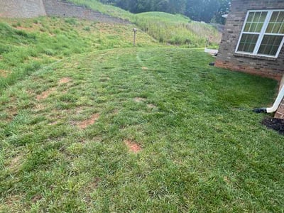 Lawn Care service in Quincy, 02169
