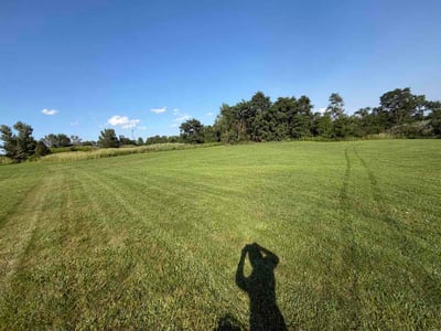 Lawn Care service in Crest Hill, 60403