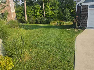 Lawn Care service in Independence, 41051