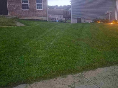 Lawn Care service in Independence, 41051